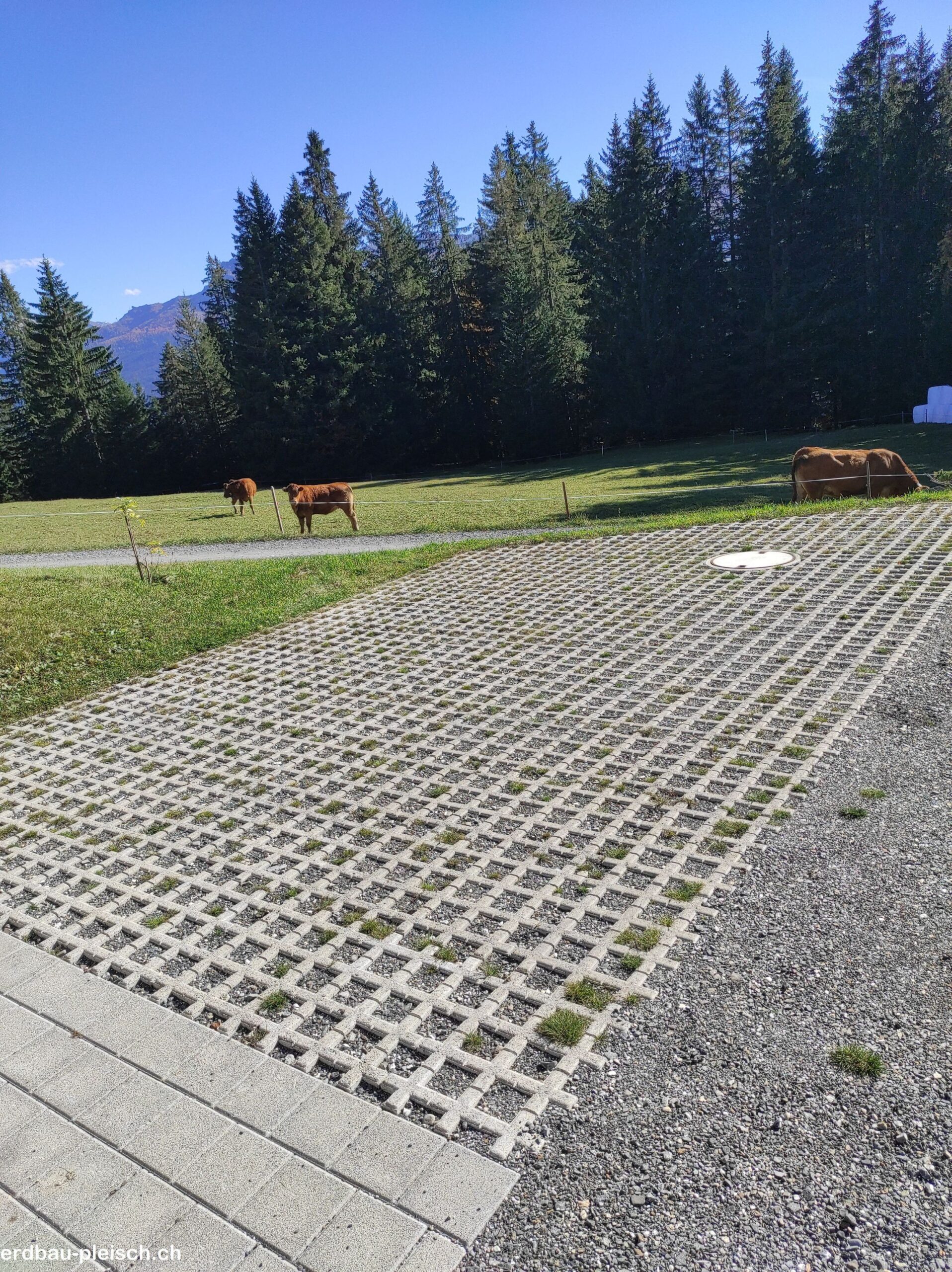 Rasengittersteine 23_1